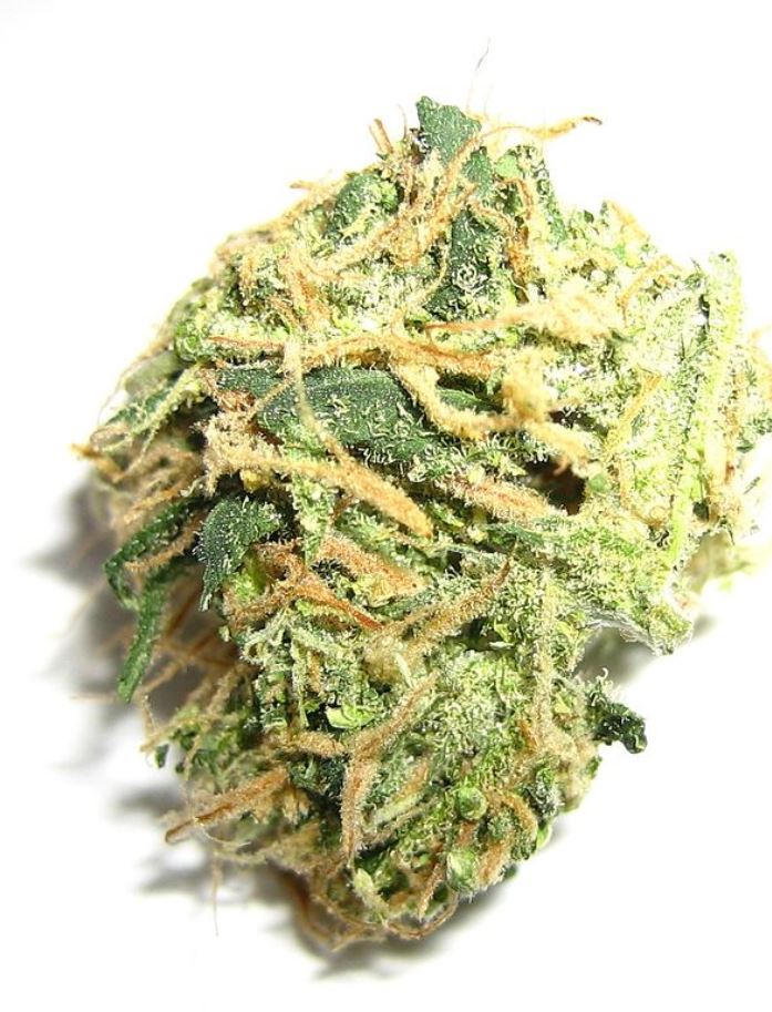 Marijuana