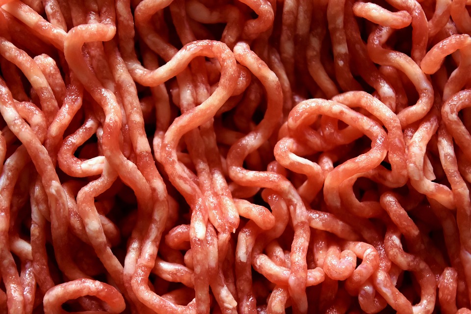processed noodle meat